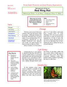 Trees / Land management / Tree diseases / Hymenochaetales / Heart rot / Phellinus pini / Lumber / Old-growth forest / Silviculture / Forestry / Biology / Environment