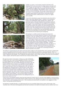 Bushland / Natural history of Australia / Wildlife