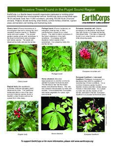 Invasive Trees Found in the Puget Sound Region EarthCorps is a Seattle-based nonprofit organization dedicated to building global community through local environmental service. EarthCorps trains young adults ages[removed]an