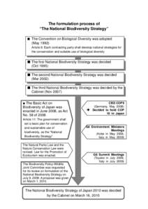 The formulation process of 