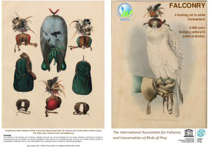 Gyrfalcon / Lure / Hunting / Bird of prey / Mews / Valkenswaard / Biology / Takagari / North American Falconers Association / Falconry / Zoology / Jesses