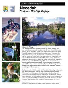 Whooping Crane / National Wildlife Refuge / Crex Meadows / Grays Lake / Necedah National Wildlife Refuge / Karner Blue / Wisconsin