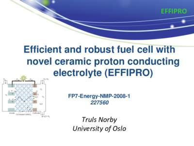 EFFIPRO  Efficient and robust fuel cell with novel ceramic proton conducting electrolyte (EFFIPRO) FP7-Energy-NMP[removed]