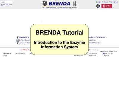 BRENDA Tutorial Introduction to the Enzyme Information System Facts about BRENDA o BRENDA (BRaunschweig ENzyme DAtabase)