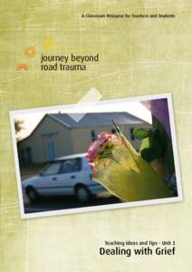 A Classroom Resource for Teachers and Students  journey beyond road trauma  Teaching Ideas and Tips - Unit 3