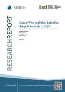 State of Play on Biofuel Subsidies: Are policies ready to shift? Ivetta Gerasimchuk Richard Bridle Christopher Beaton Chris Charles