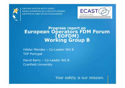 Progress report on  European Operators FDM Forum (EOFDM) Working Group B Hélder Mendes – Co-Leader WG B