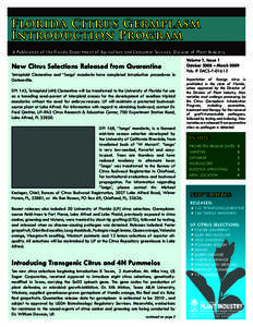 Florida Citrus Germplasm Introduction Program A Publication of the Florida Department of Agriculture and Consumer Services, Division of Plant Industry New Citrus Selections Released from Quarantine Tetraploid Clementine 