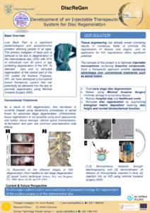 DiscReGen Development of an Injectable Therapeutic System for Disc Regeneration OUR SOLUTION  Basic Overview