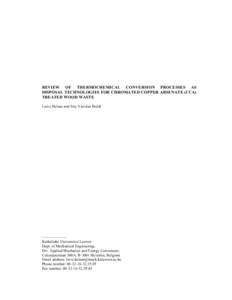 Microsoft Word - Helsen_VandenBulck_thermochemical conversion.doc