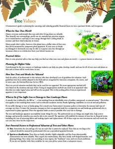 Tree Values A homeowner’s guide to planning for, assessing, and reducing possible financial losses on trees, specimen shrubs, and evergreens. What Are Your Trees Worth? Almost everyone understands that trees and other 