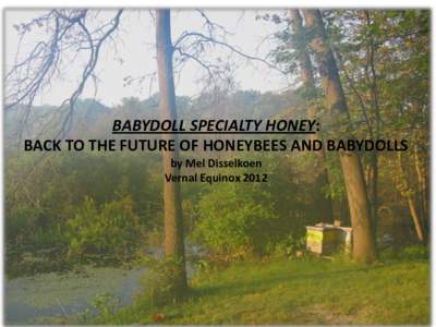 BABYDOLL SPECIALTY HONEY: BACK TO THE FUTURE OF HONEYBEES AND BABYDOLLS by Mel Disselkoen Vernal Equinox 2012  INTRODUCTION