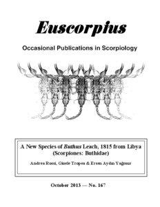 A new species of Buthus Leach, 1815 from Libya (Scorpiones: Buthidae)