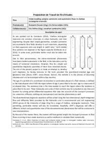 Proposition de Travail de fin d’études Titre Understanding complex symmetric and asymmetric flows in shallow rectangular reservoirs