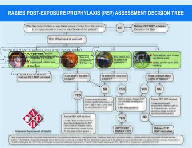 RABIES POST-EXPOSURE PROPHYLAXIS (PEP) ASSESSMENT DECISION TREE Was the patient bitten or was there saliva contact from the animal to an open wound or mucous membrane of the patient? NO