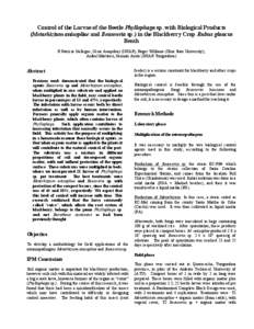 Control of the Larvae of the Beetle Phyllophaga sp. with Biological Products (Metarhizium anisopliae and Beauveria sp.) in the Blackberry Crop Rubus glaucus Benth