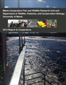 Maine Cooperative Fish and Wildlife Research Unit and Department of Wildlife, Fisheries, and Conservation Biology; University of Maine 2015 Report to Cooperators