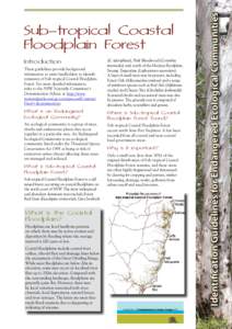 Introduction These guidelines provide background information to assist landholders to identify remnants of Sub-tropical Coastal Floodplain Forest. For more detailed information, refer to the NSW Scientific Committee’s