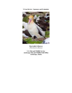 5-Year Review: Summary and Evaluation  Short-tailed Albatross (Phoebastria albatrus) U.S. Fish and Wildlife Service Anchorage Fish and Wildlife Field Office