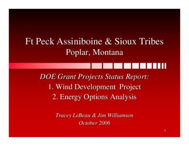 Assiniboine & Sioux Tribes of the Fort Peck Reservation - Wind Development on the Fort Peck Reservation and Energy Options Analysis Project