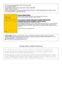 This article was downloaded by: [CDL Journals Account] On: 15 November 2008 Access details: Access Details: [subscription number[removed]]