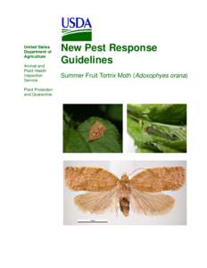 Tortricidae / Tortrix / Biological pest control / Archipini / Adoxophyes orana / Orana