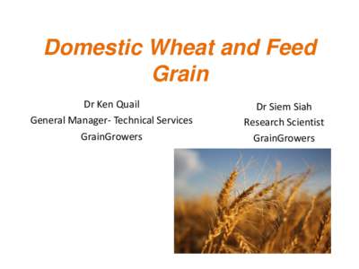 Domestic Grain Consumption