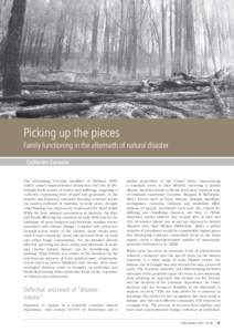 Picking up the pieces: Family functioning in the aftermath of natural disaster