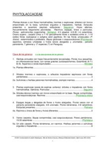 PHYTOLACCACEAE Plantas dioicas o con flores hermafroditas, inermes o espinosas: árboles con tronco ensanchado en la base, sufrútices erguidos o trepadores, hierbas. Estípulas