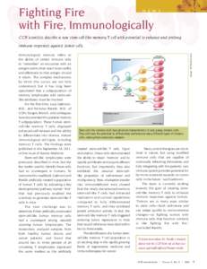 T cells / Immune system / Biotechnology / Stem cells / Lymphocyte / White blood cell / Antigen / Lymphopoiesis / Adult stem cell / Biology / Anatomy / Immunology