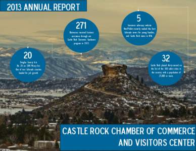 2013 Annual Report 271 Businesses received business assistance through our Castle Rock Economic Gardeners program in 2013.