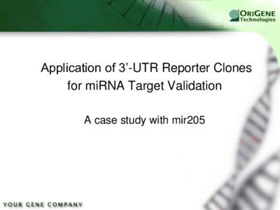 Application of 3’-UTR Reporter Clones for miRNA Target Validation A case study with mir205 Mir205 expression in HEK293T cell and down-regulation of GFP-mir205 target