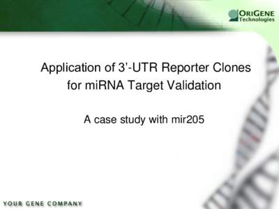 Vector / Reporter gene / Gene expression / Luciferase / MicroRNA / Biology / Molecular biology / Biochemistry