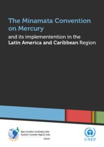 The Minamata Convention on Mercury and its implementention in the Latin America and Caribbean Region  Table of contents