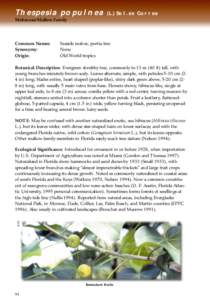 Thespesia populnea (L.) Sol. ex Correa Malvaceae/Mallow Family Common Names: Synonymy: Origin: