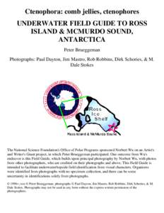 Zoology / Ctenophora / Beroe / Sponge / Tentacle / Plankton / Mertensia ovum / Nuda / Ctenophores / Biology / Taxonomy