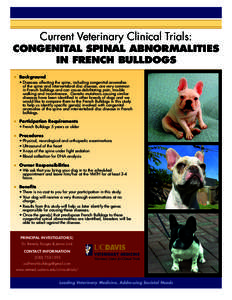 Current Veterinary Clinical Trials:  CONGENITAL SPINAL ABNORMALITIES IN FRENCH BULLDOGS ■■