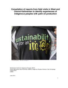 Compilation of reports from field visits in West and Central Kalimantan to identify experiences of indigenous peoples with palm oil production (“sustainability…  not  for  an  image”)