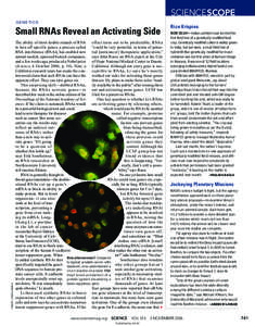 SCIENCESCOPE GENETICS The ability of short double strands of RNA effect turns out to be predictable, RNAa to turn off specific genes, a process called “could be very powerful, in terms of potenRNA interference (RNAi), 