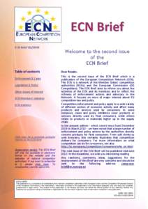 European Union competition law / Consumer protection / Anti-competitive behaviour / Imperfect competition / Office of Fair Trading / Competition Authority / European Union / European Commissioner for Competition / Competition / Competition law / Economy of the European Union / European Competition Network