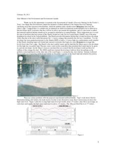 February 20, 2013 Dear Minister of the Environment and Environment Canada: Thank you for the opportunity to respond to the Government of Canada’s Recovery Strategy for the Fowler’s Toad. I am happy that Environment C