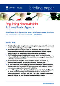 Israeli Perspectives on the Palestinian Refugee Issue  briefing paper Regulating Nanomaterials: A Transatlantic Agenda