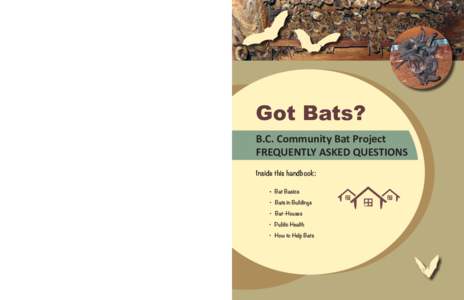 Got Bats? B.C. Community Bat Project FREQUENTLY ASKED QUESTIONS Inside this handbook: 	•  Bat Basics 	• Bats in Buildings