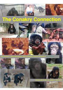 Chimpanzee / Guinea / CITES / Conakry / Gorilla / Apes / Africa / Earth