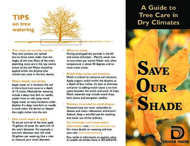 A Guide to Tree Care in Dry Climates TIPS on tree