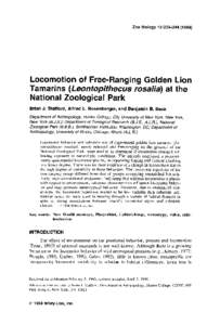 Zoo Biology 13:Locomotion of Free-Ranging Golden Lion Tamarins (Leontopithecus rosalia) at the National Zoological Park Brian J. Stafford, Alfred L. Rosenberger, and Benjamin B. Beck