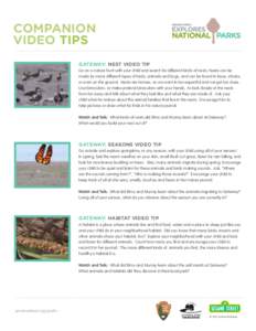 COMPANION VIDEO TIPS GATEWAY: NEST VIDEO TIP Go on a nature hunt with your child and search for different kinds of nests. Nests can be made by many different types of birds, animals and bugs, and can be found in trees, s