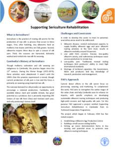 Supporting Sericulture Rehabilitation What is Sericulture? Sericulture is the practice of rearing silk worms for the production of raw silk—a process that occurs in three stages. First, after hatching, tiny silkworms f