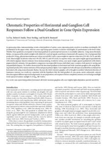 Neurons / Histology / Color / Visual system / Vision / Retina / Photoreceptor cell / Opsin / Rod cell / Color vision / Cone cell / Monochromacy