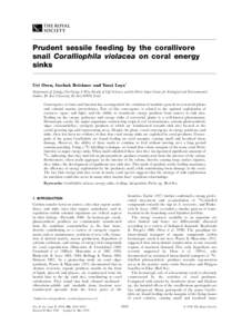 Coralliophila / Physical geography / Coral reef / Coral / Muricidae / Phyla / Porites